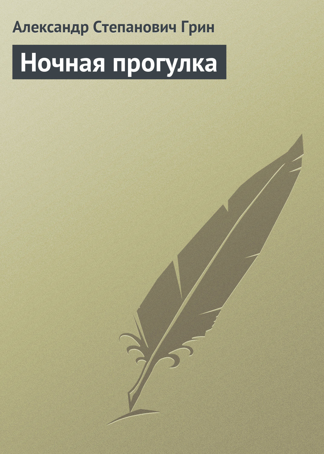 Обложка книги «Ночная прогулка»
