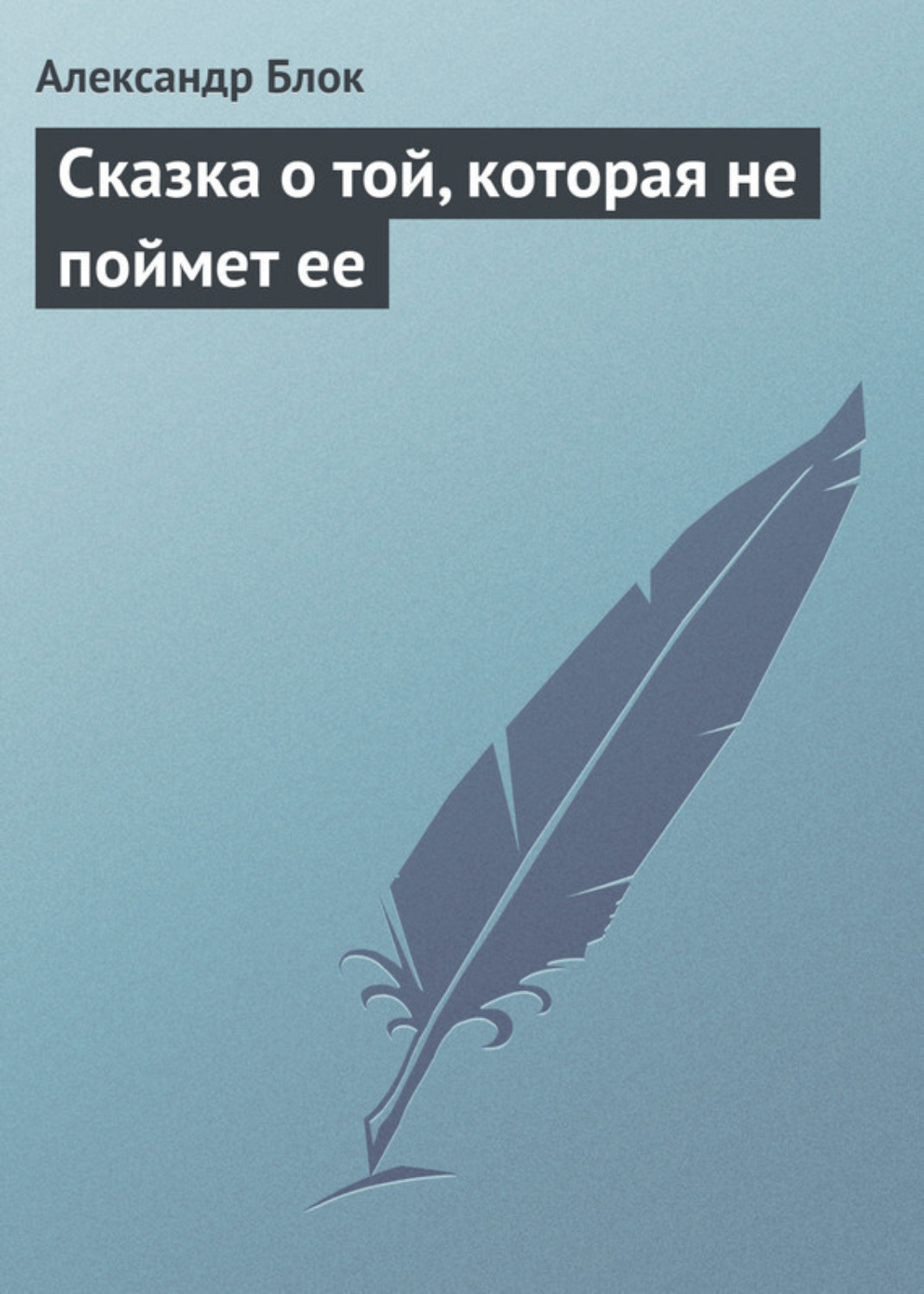 Обложка книги «Сказка о той, которая не поймет ее»