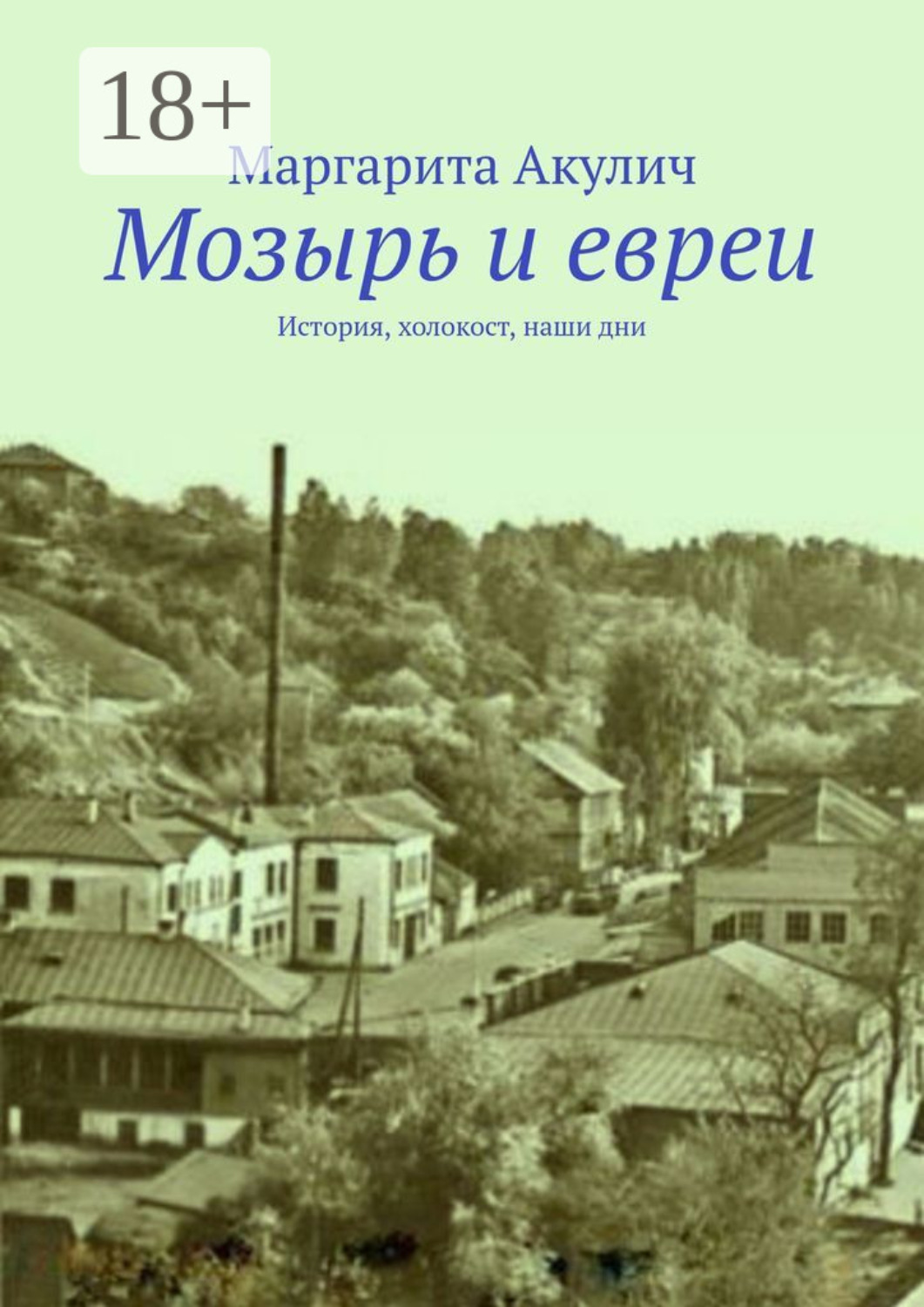 Обложка книги «Мозырь и евреи. История, холокост, наши дни»