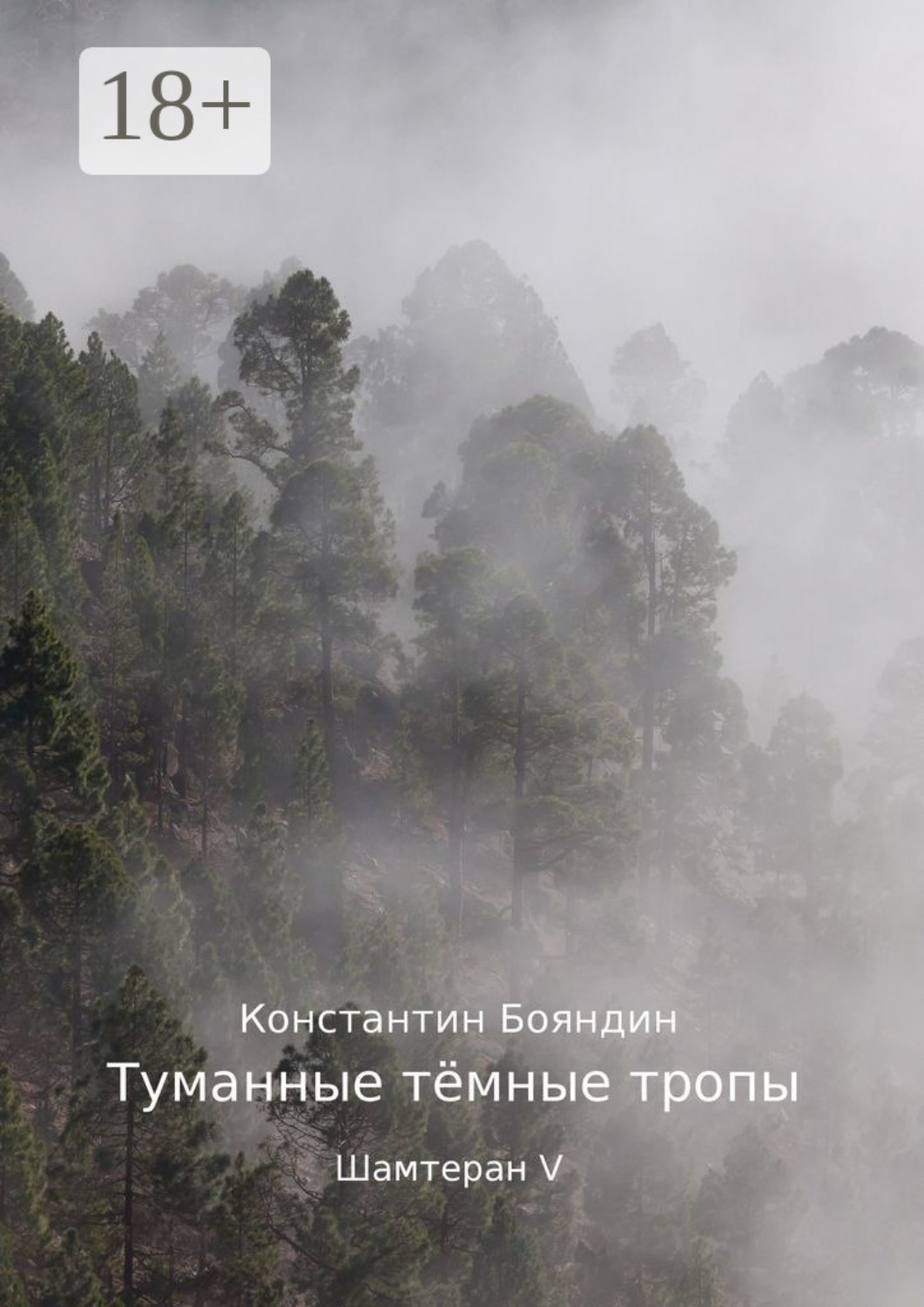 Обложка книги «Туманные тёмные тропы. Шамтеран V»