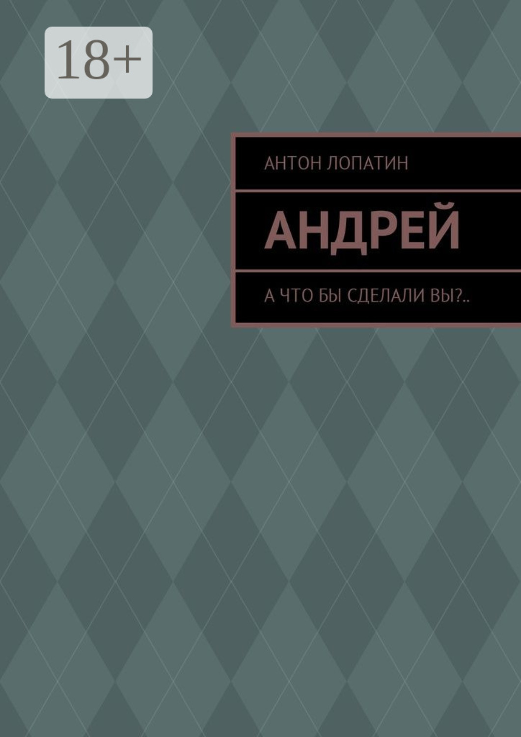 Обложка книги «Андрей. А что бы сделали вы?..»