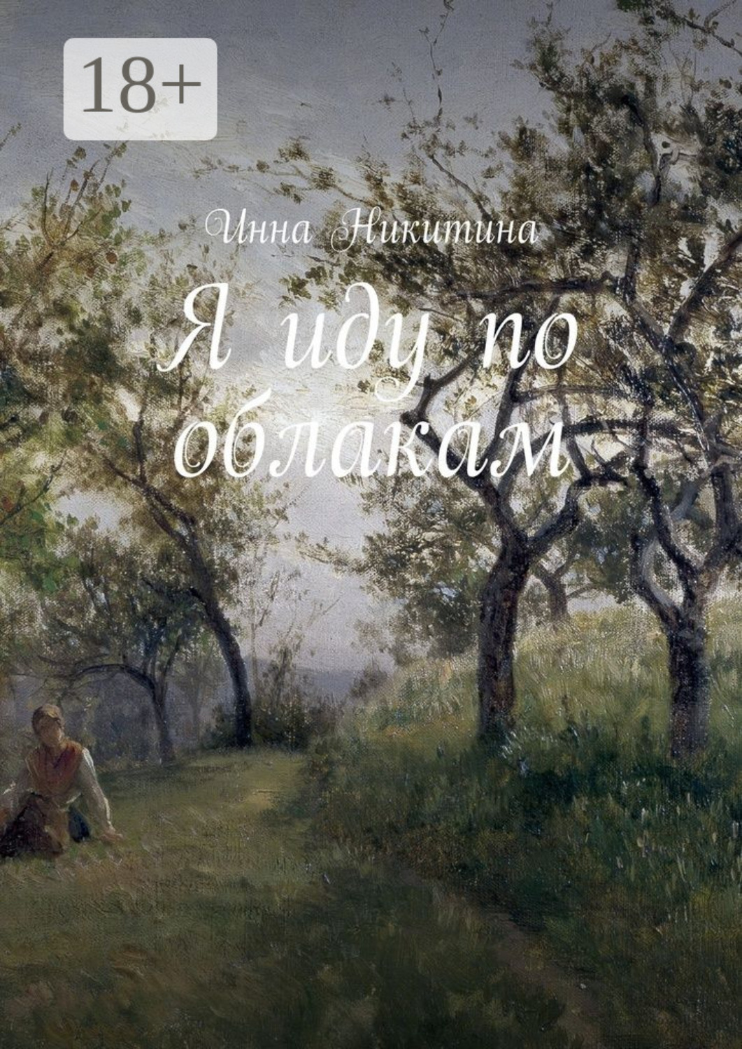 Обложка книги «Я иду по облакам»