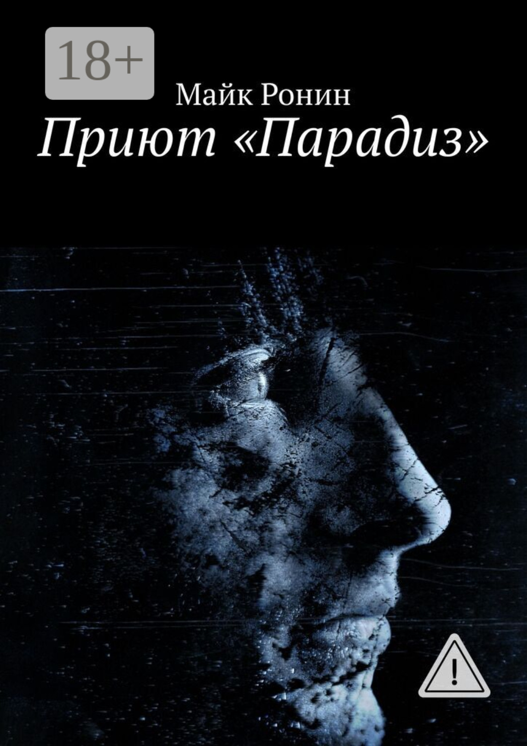 Обложка книги «Приют «Парадиз»»