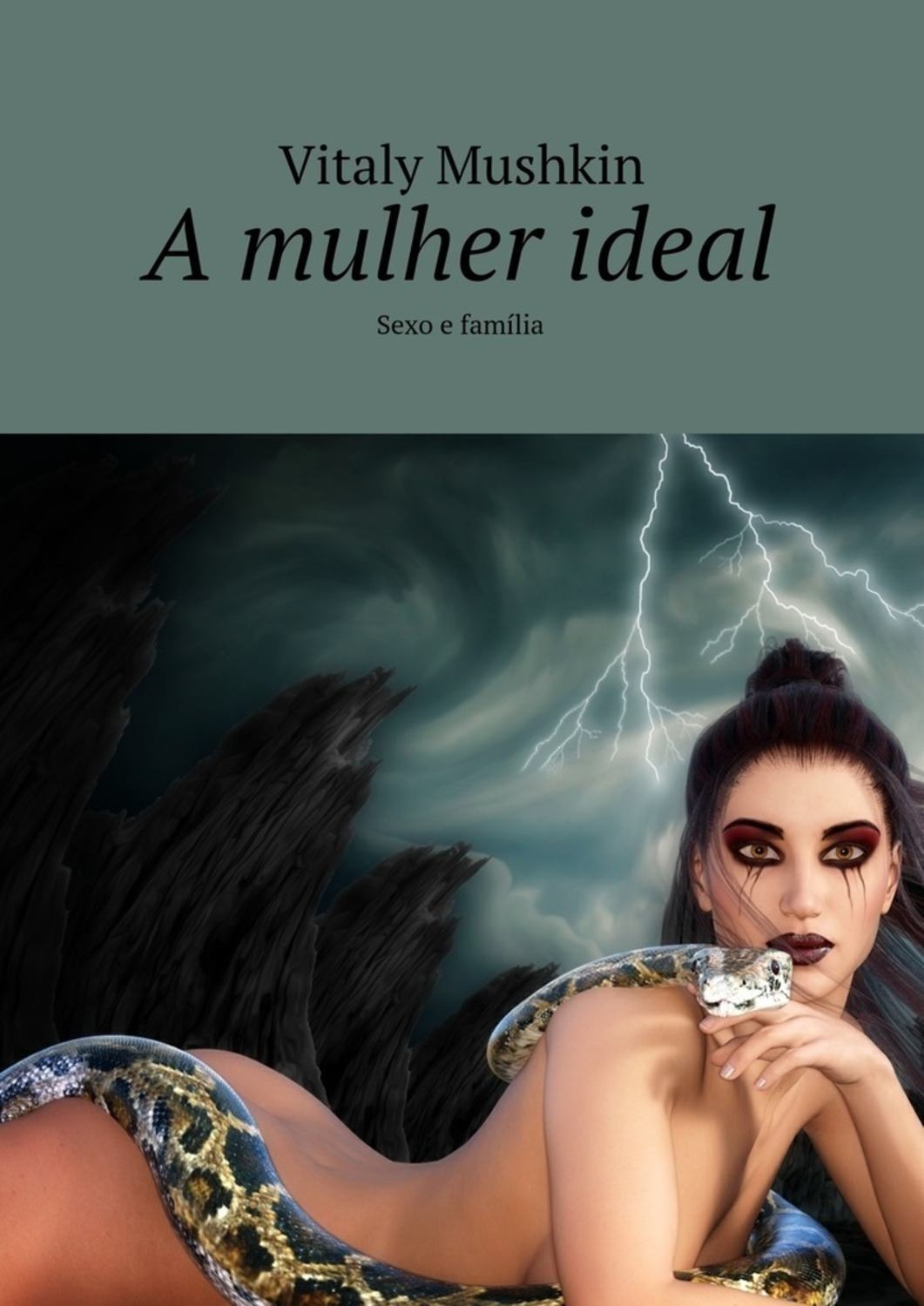 Обложка книги «A mulher ideal. Sexo e família»