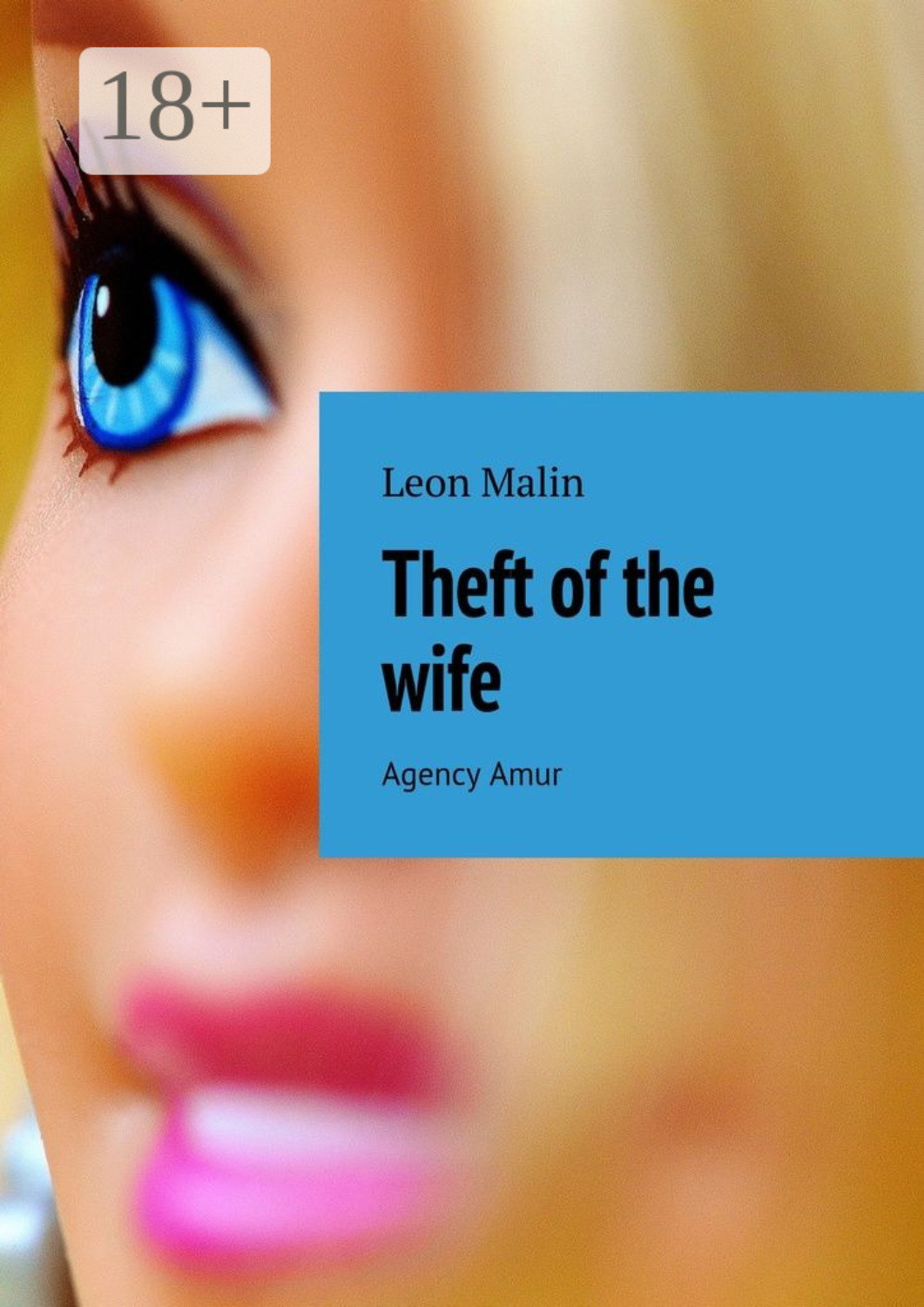 Обложка книги «Theft of the wife. Agency Amur»