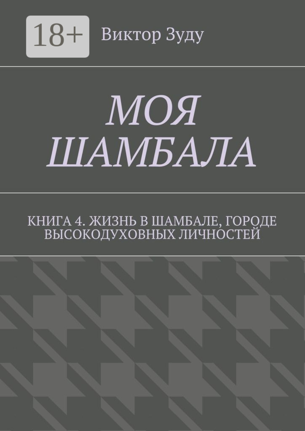 Обложка книги «Моя шамбала. Книга 4. Жизнь в шамбале, городе высокодуховных личностей»