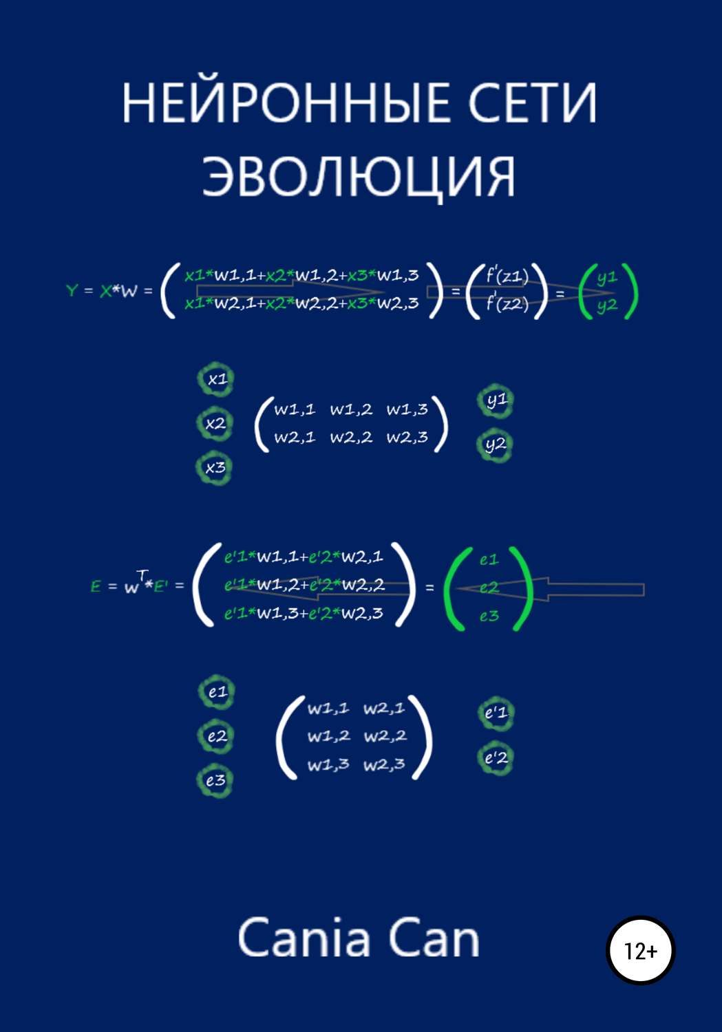 Обложка книги «Нейронные сети. Эволюция»