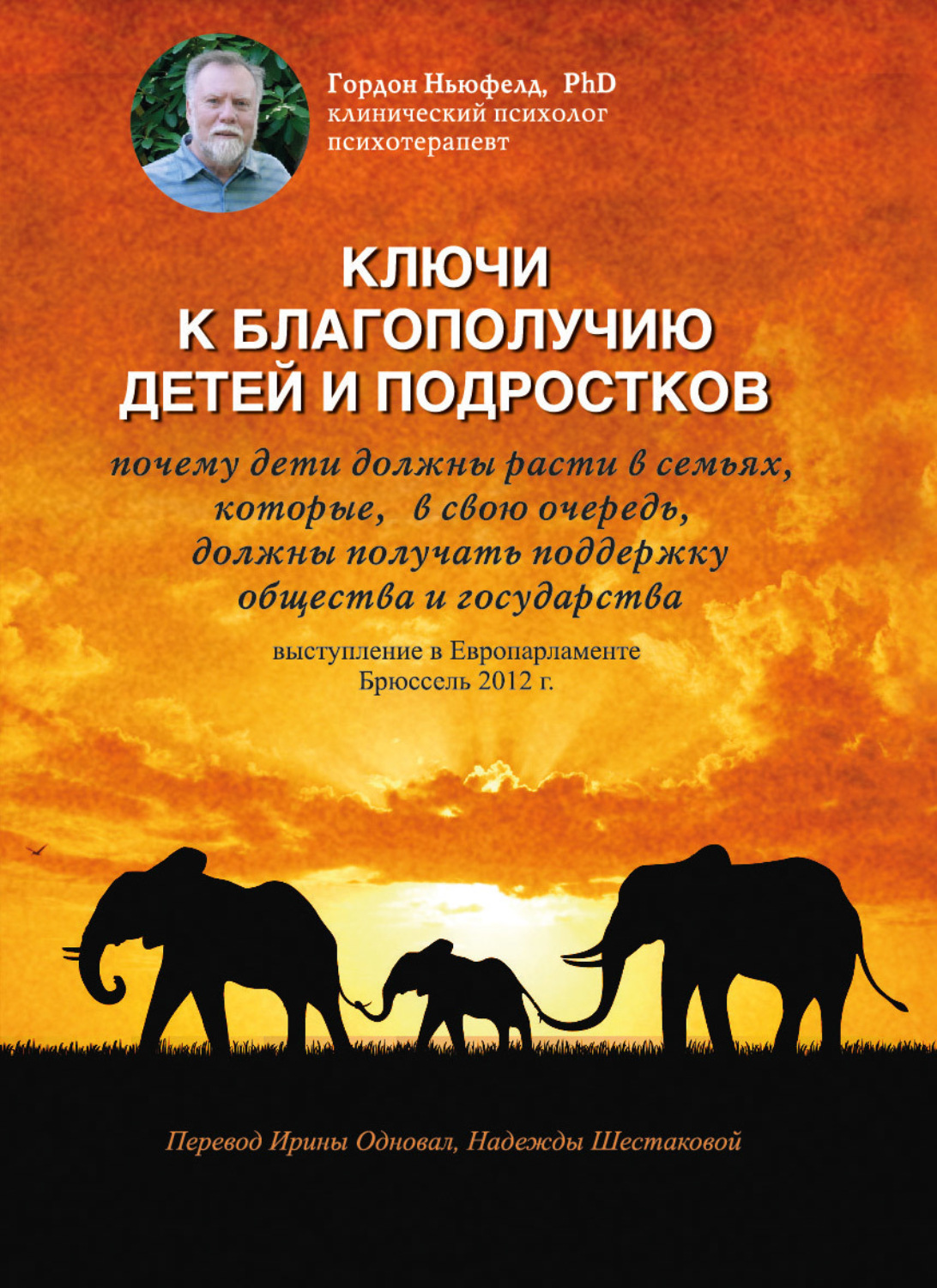 Обложка книги «Ключи к благополучию детей и подростков: почему дети должны расти в семьях, которые, в свою очередь, должны получать поддержку общества и государства. Выступление в Европарламенте, Брюссель 2012 г.»