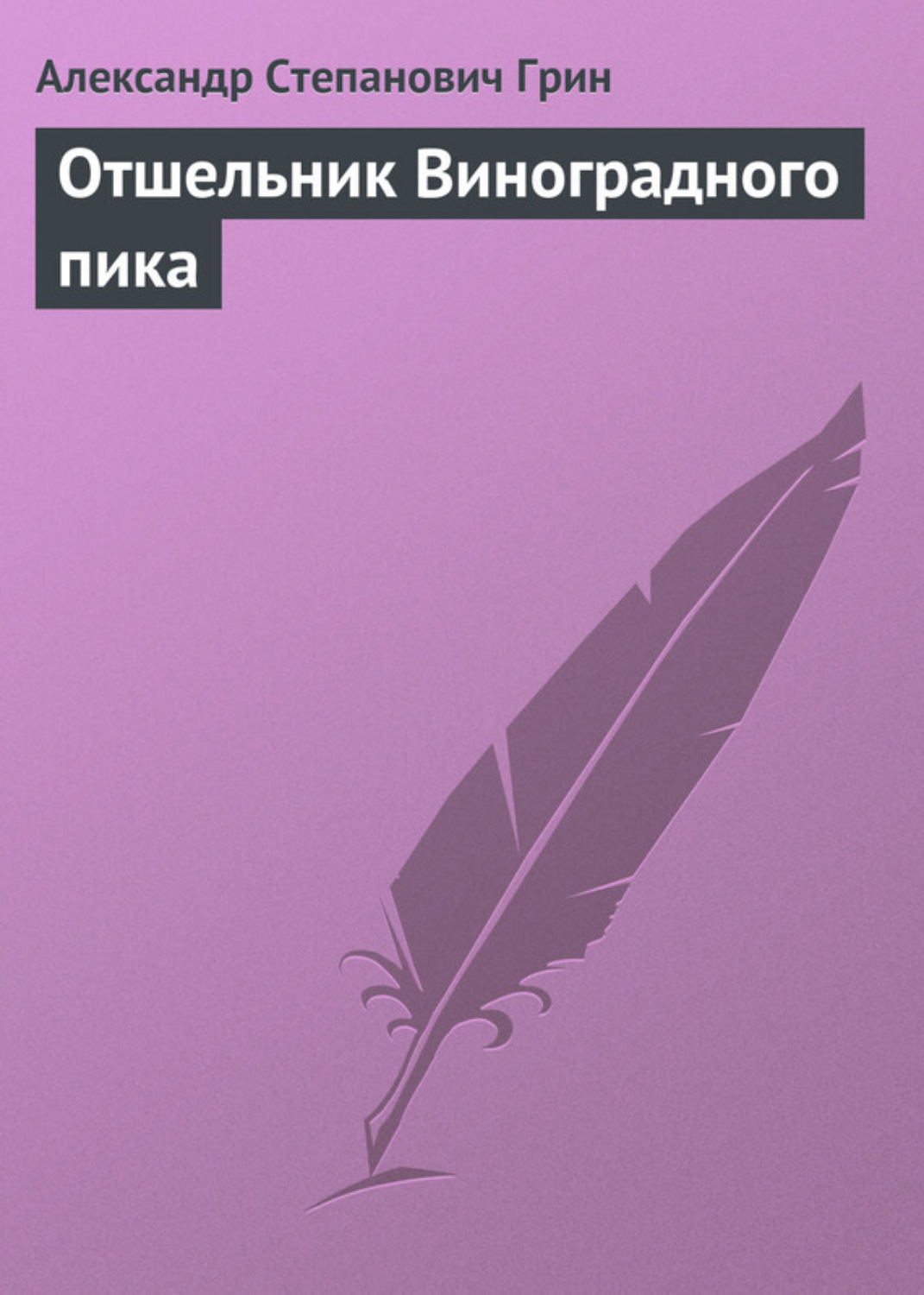 Обложка книги «Отшельник Виноградного пика»