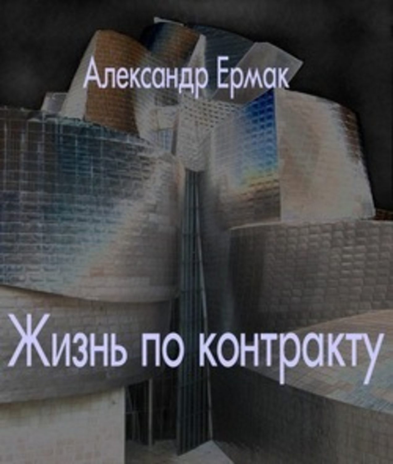 Обложка книги «Жизнь по контракту»