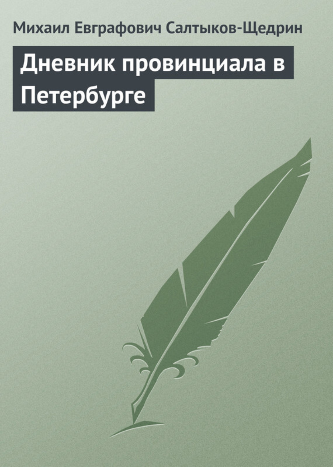Обложка книги «Дневник провинциала в Петербурге»