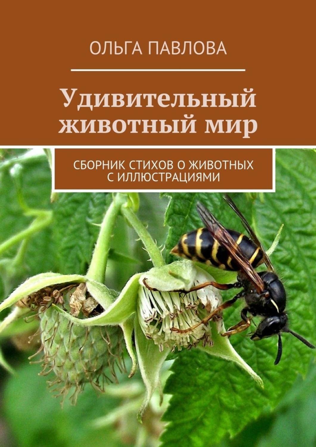 Обложка книги «Удивительный животный мир. Сборник стихов о животных с иллюстрациями»
