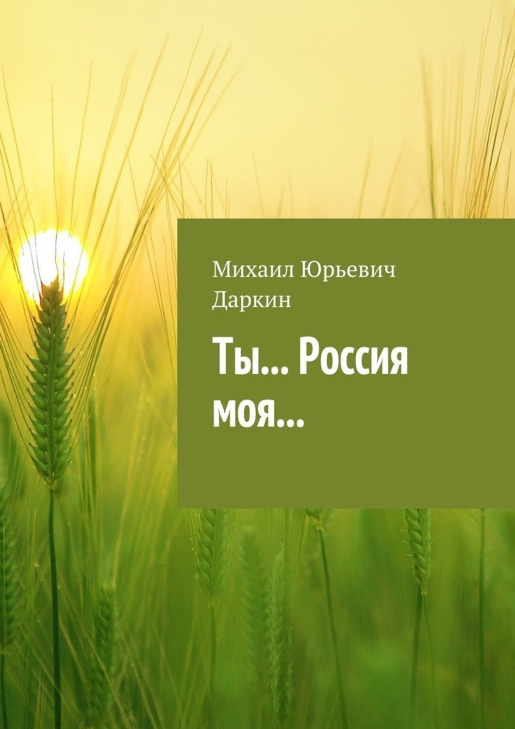 Обложка книги «Ты… Россия моя…»