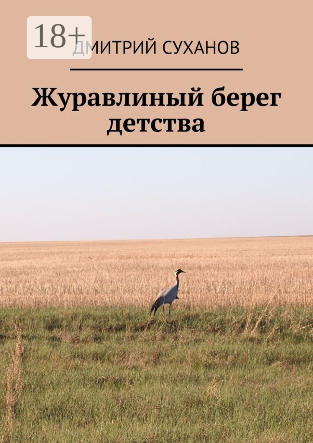 Обложка книги «Журавлиный берег детства»