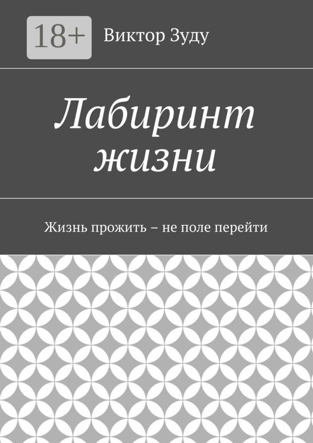 Обложка книги «Лабиринт жизни»