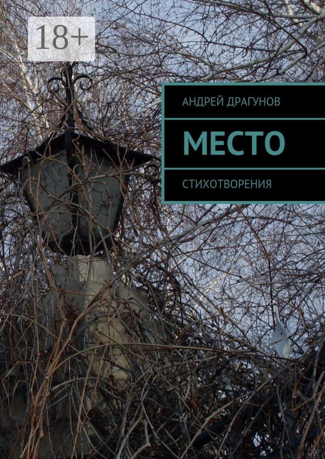 Обложка книги «Место. Стихотворения»