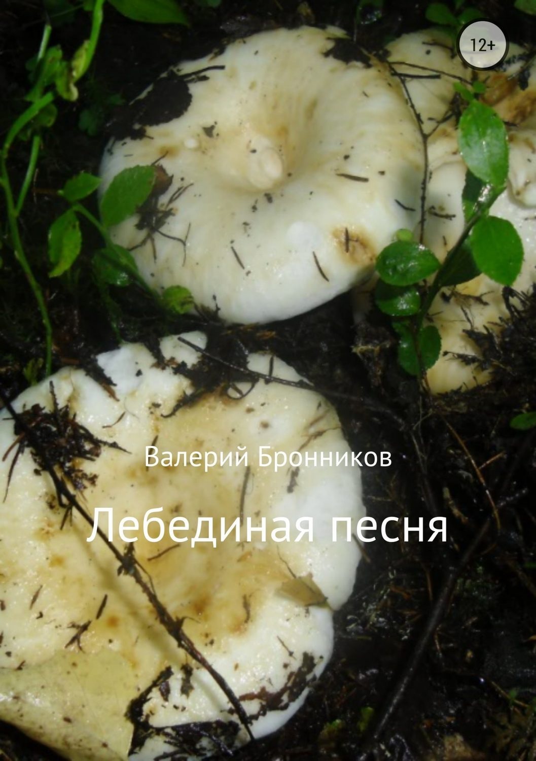 Обложка книги «Лебединая песня»