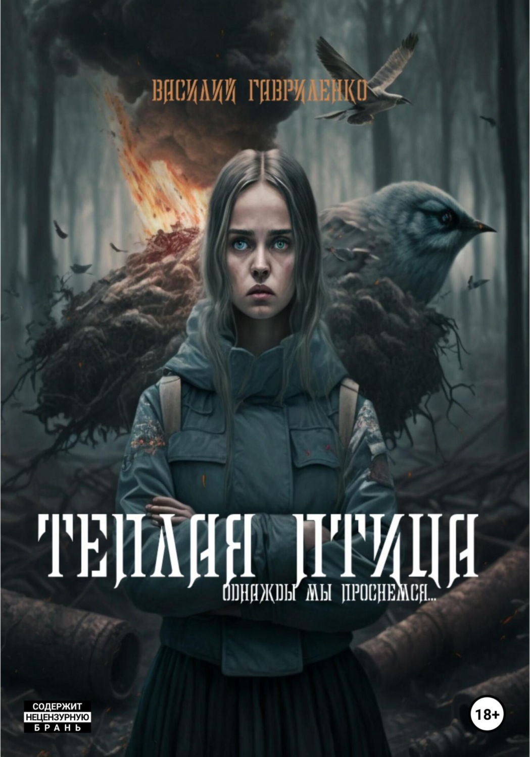 Обложка книги «Теплая Птица»