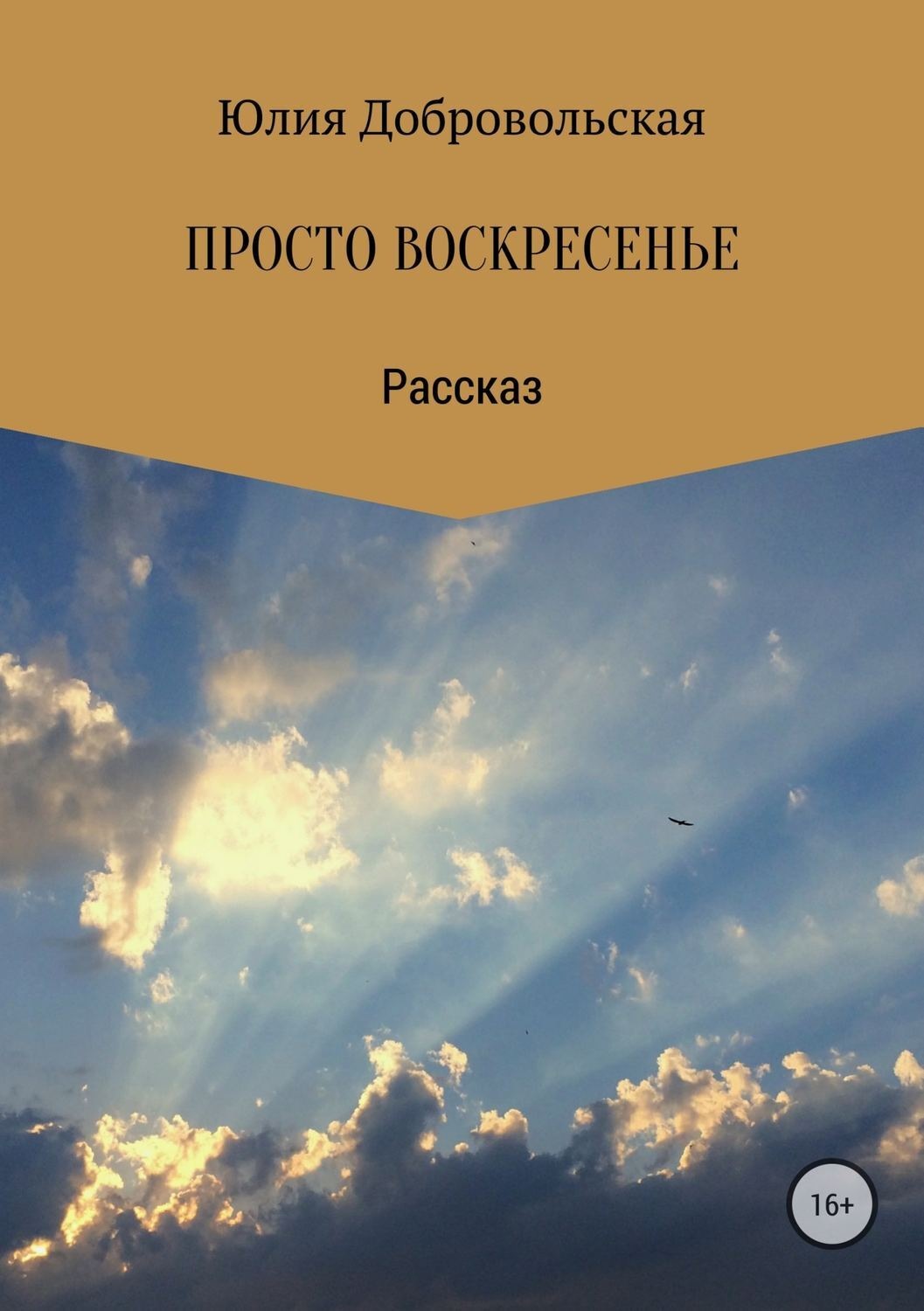 Обложка книги «Просто воскресенье»