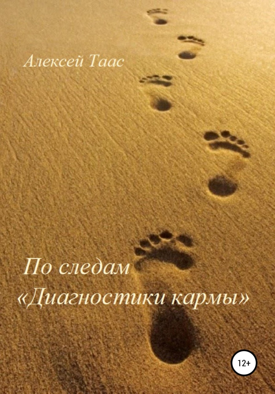 Обложка книги «По следам «Диагностики кармы»»