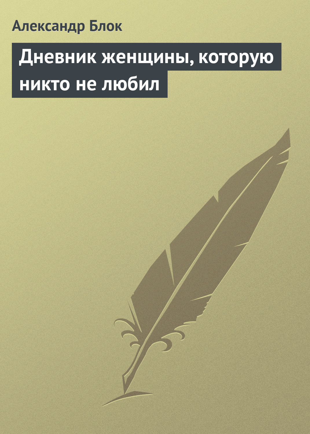 Обложка книги «Дневник женщины, которую никто не любил»