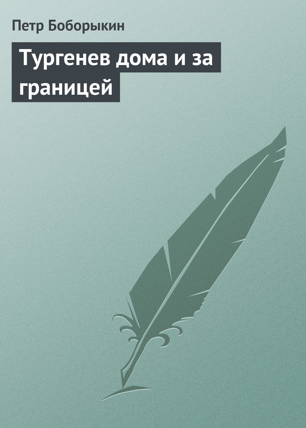 Обложка книги «Тургенев дома и за границей»