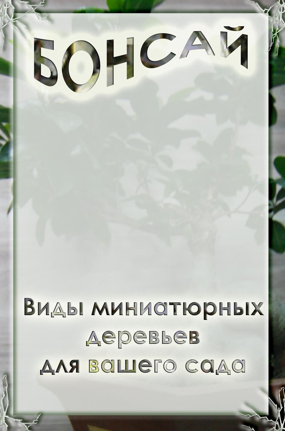 Обложка книги «Виды миниатюрных деревьев для вашего сада»