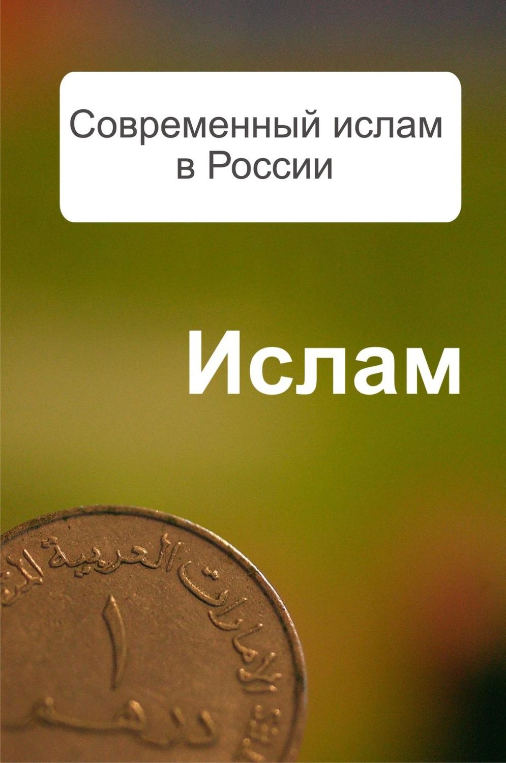 Обложка книги «Современный ислам в России»