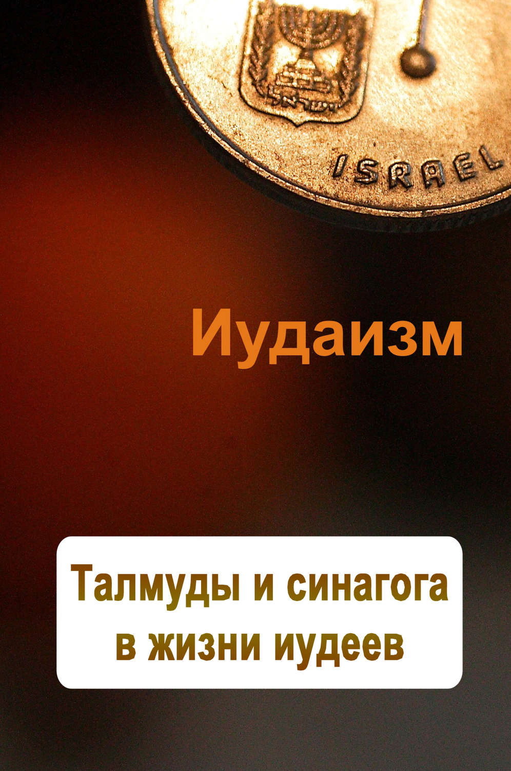 Обложка книги «Талмуды и синагога в жизни иудеев»