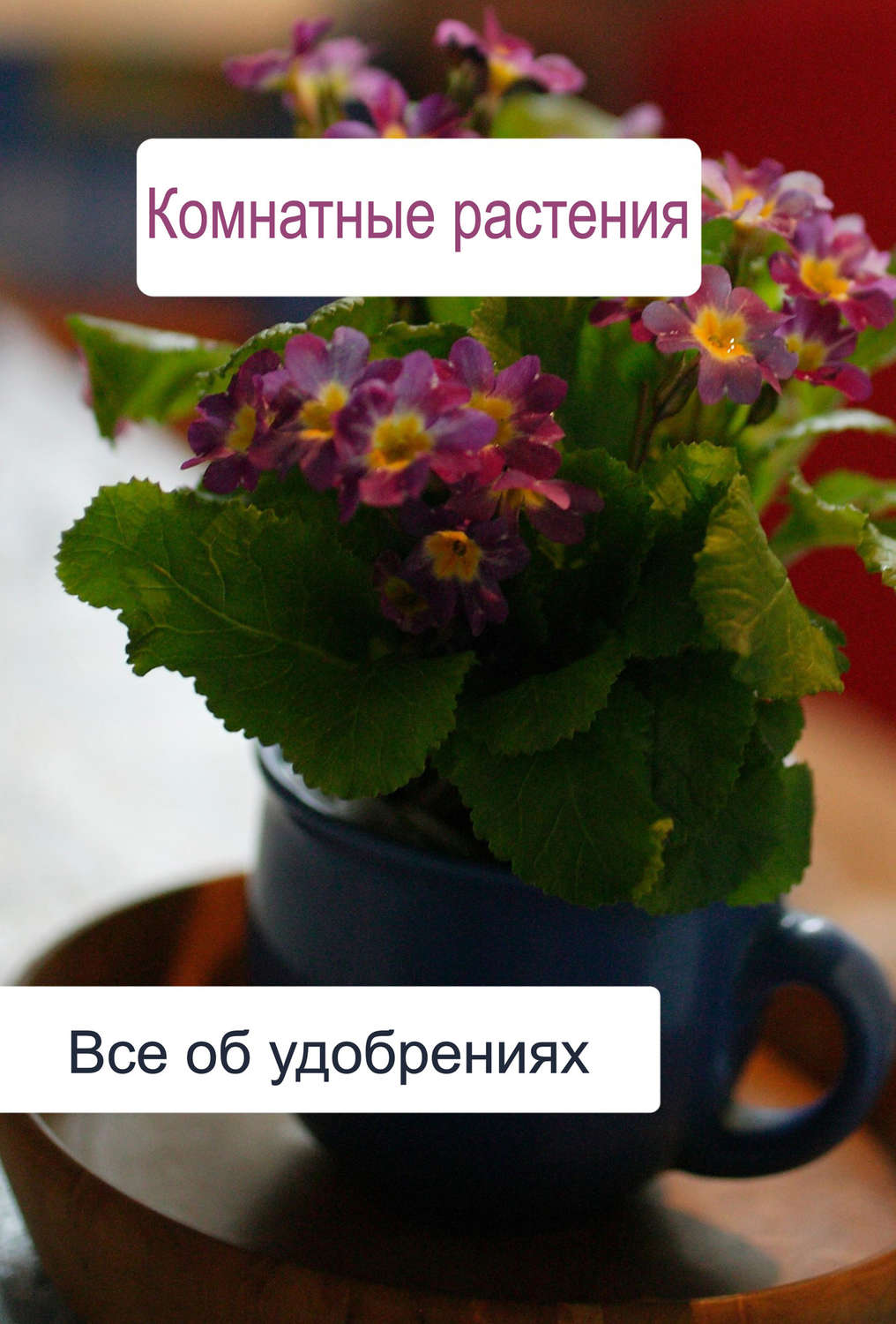 Обложка книги «Комнатные растения. Все об удобренияx»