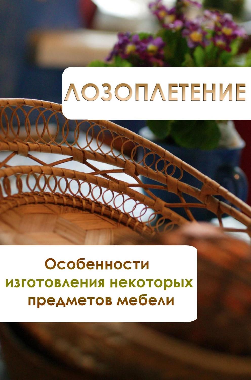 Обложка книги «Особенности изготовления некоторых предметов мебели»