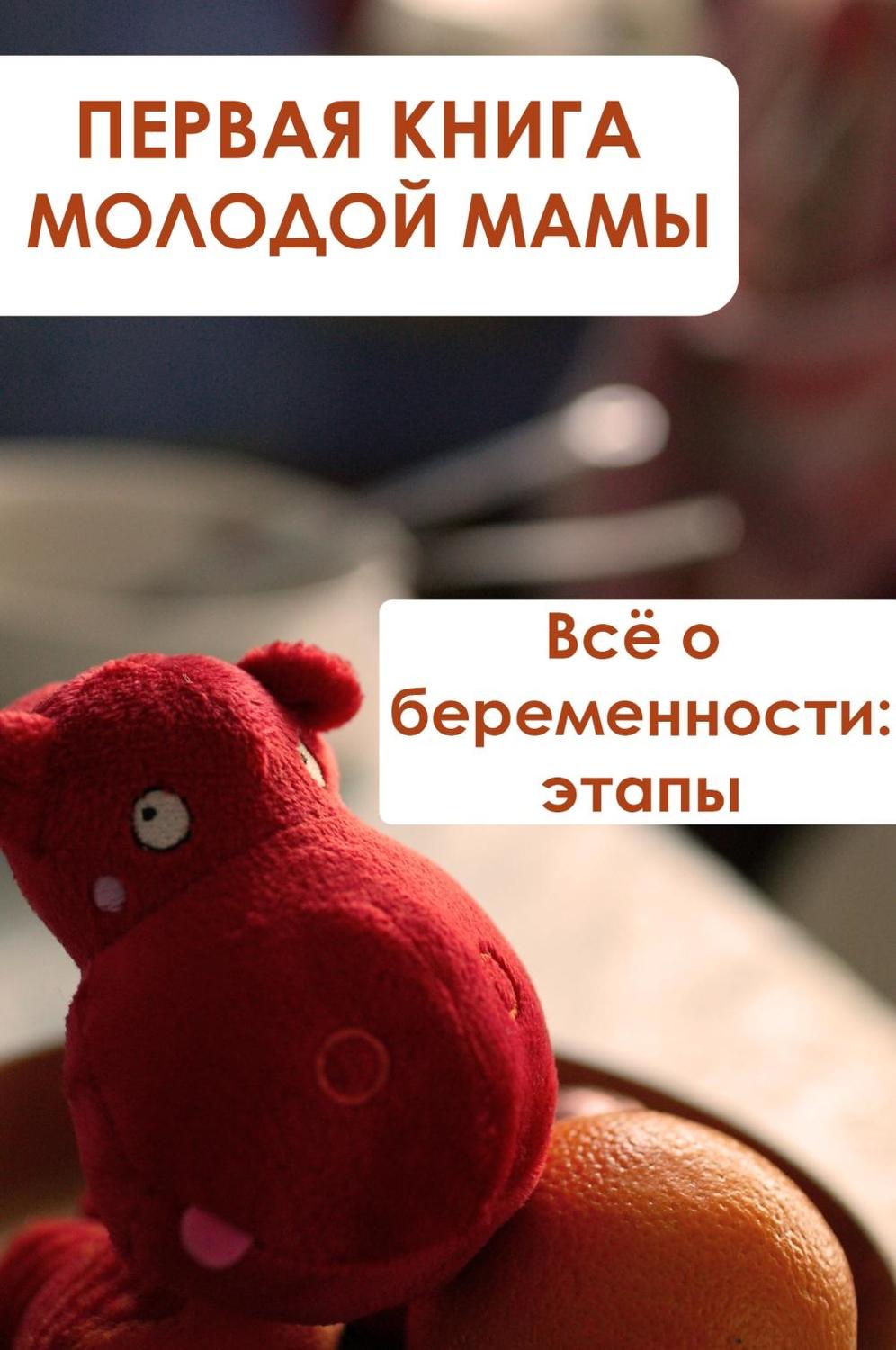 Обложка книги «Всё о беременности: этапы»