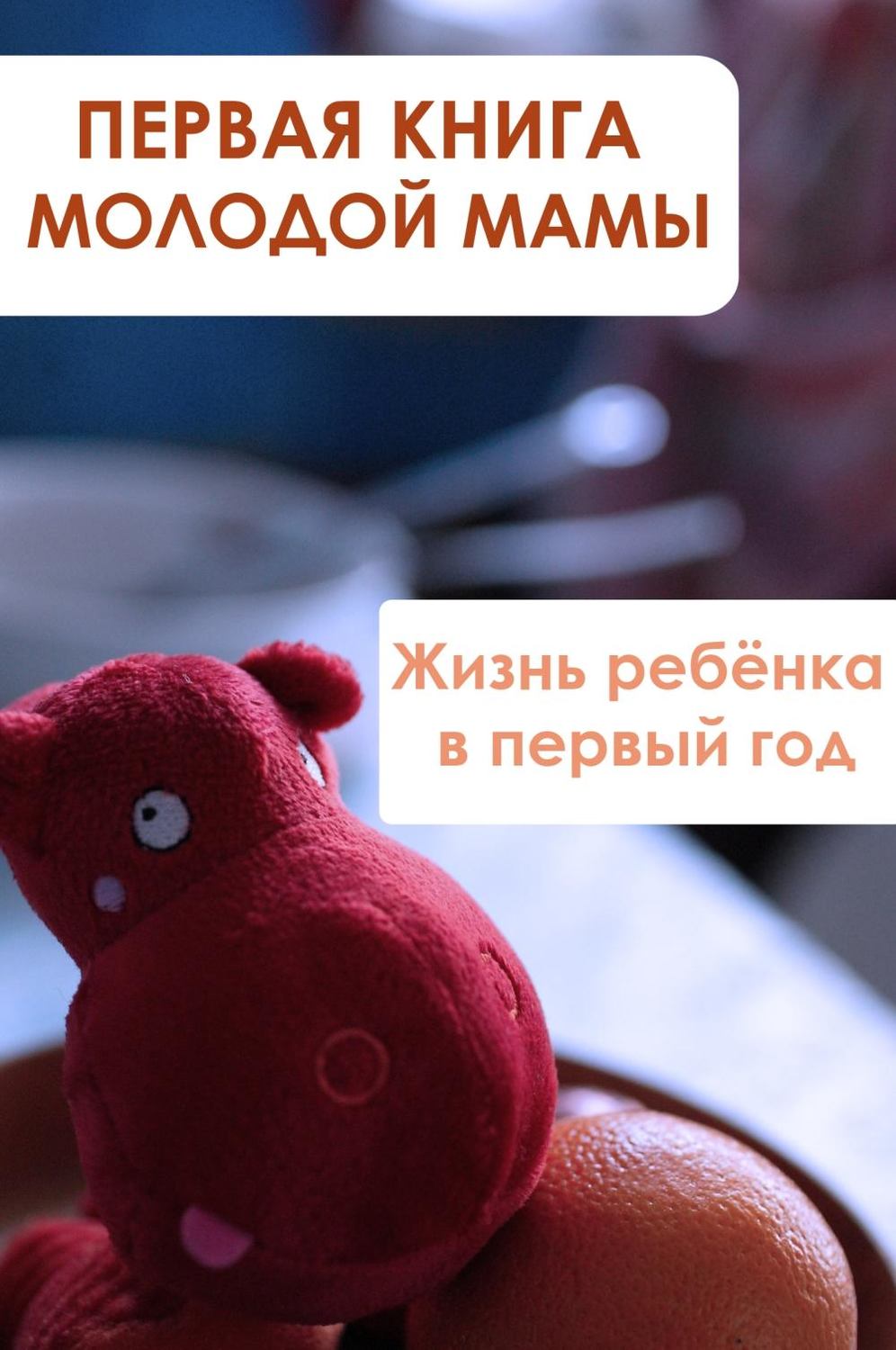 Обложка книги «Жизнь ребёнка в первый год»