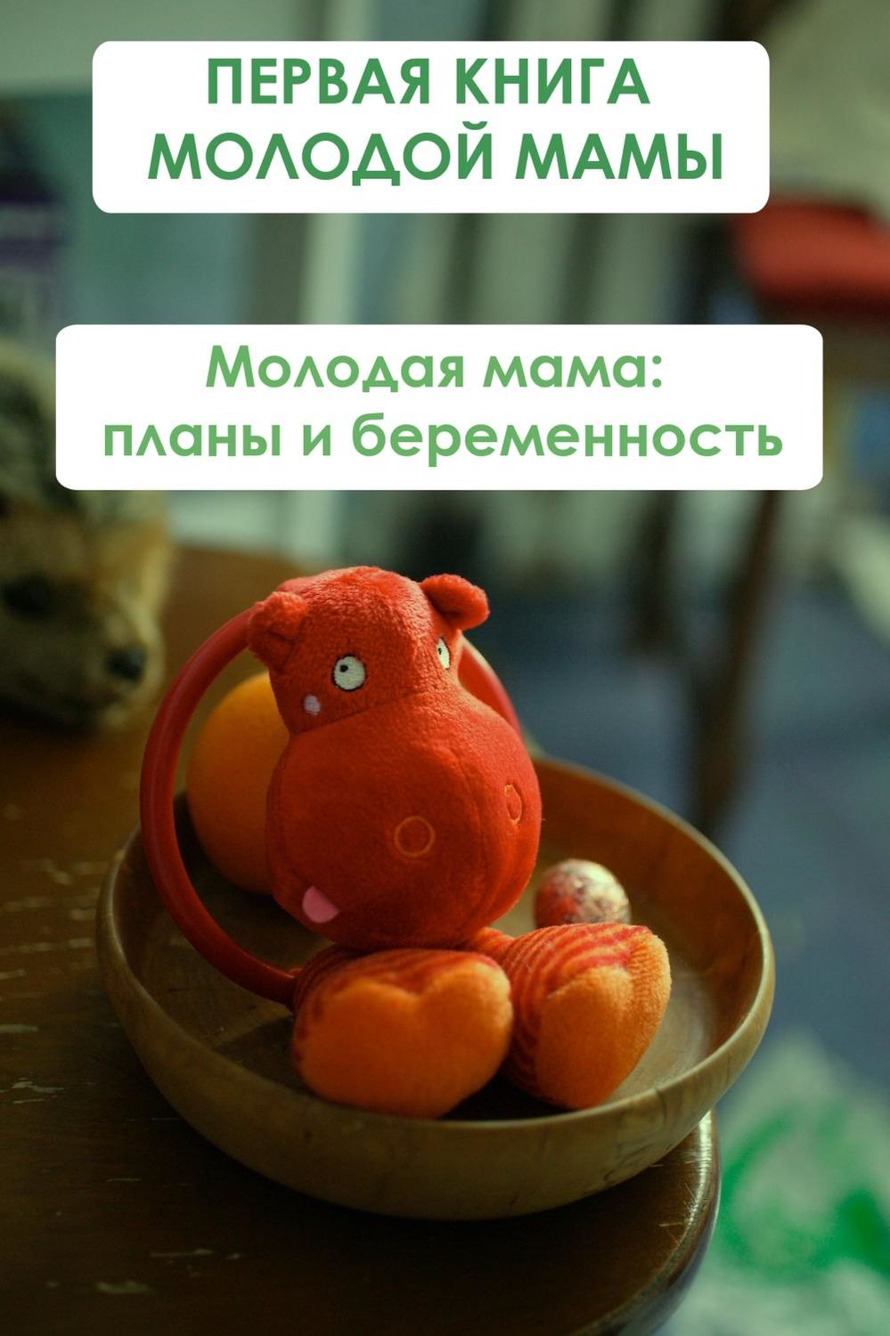 Обложка книги «Молодая мама: планы и беременность»
