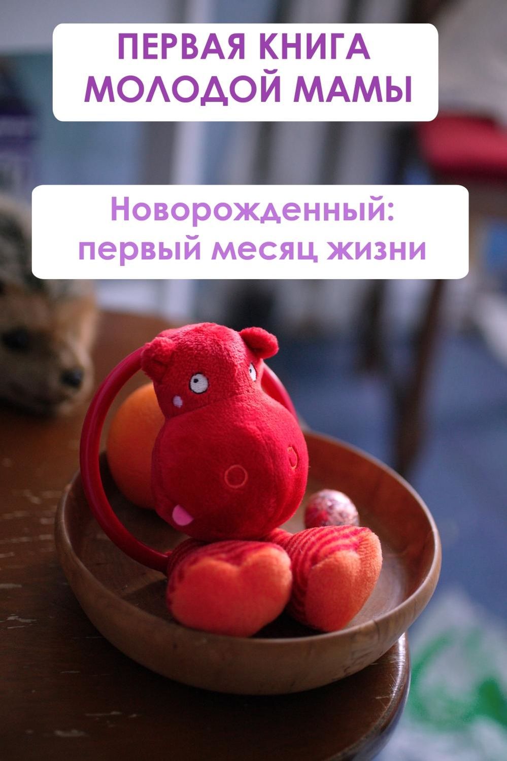 Обложка книги «Новорождённый: первый месяц жизни»