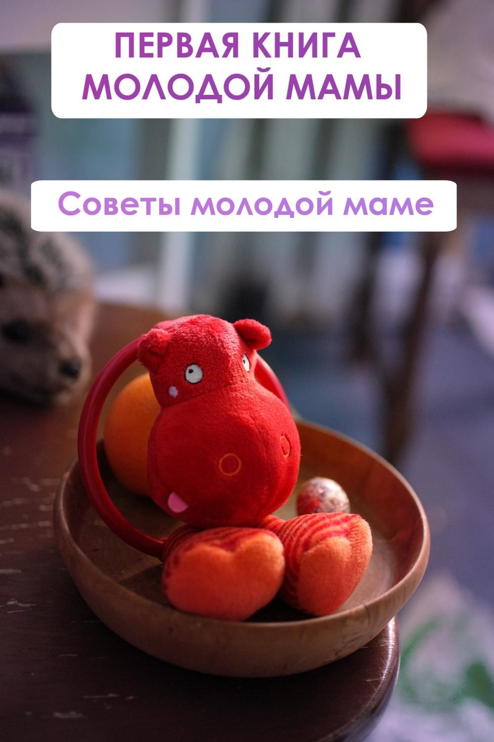 Обложка книги «Советы молодой маме»