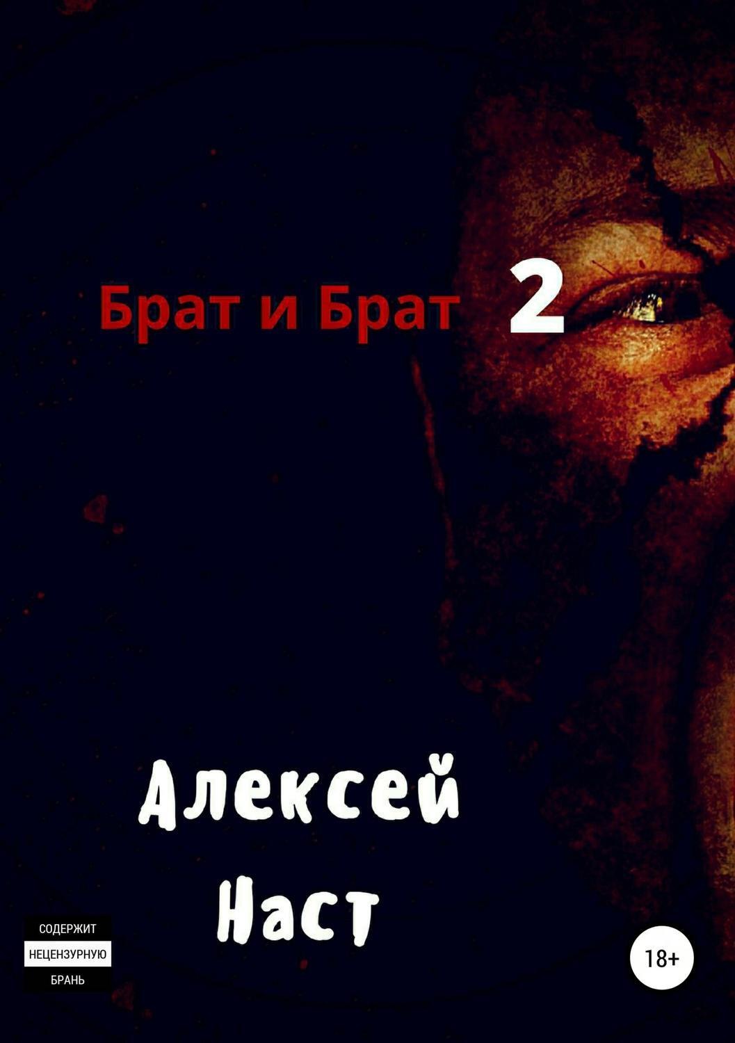 Обложка книги «Брат и Брат 2»