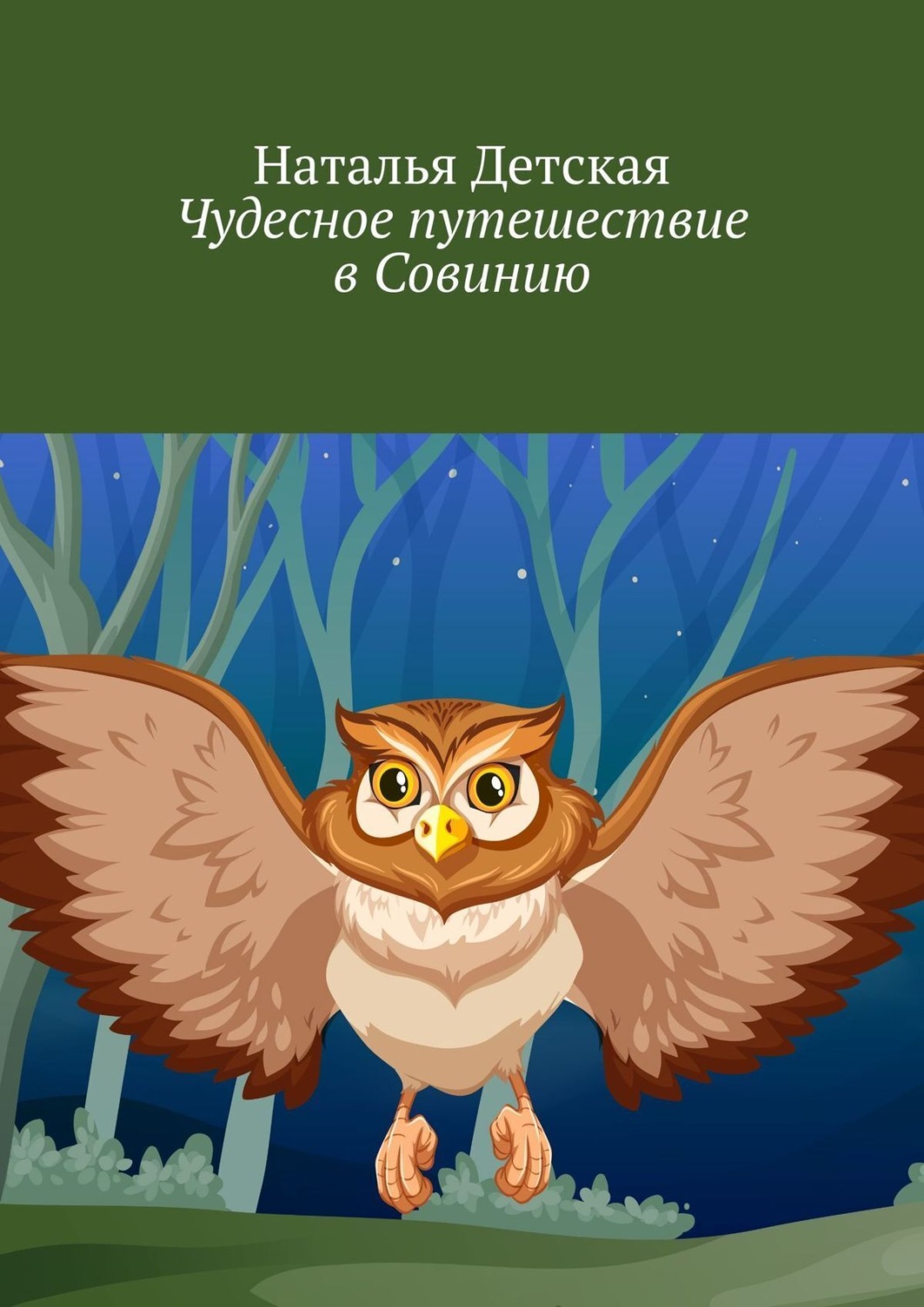 Обложка книги «Чудесное путешествие в Совинию»