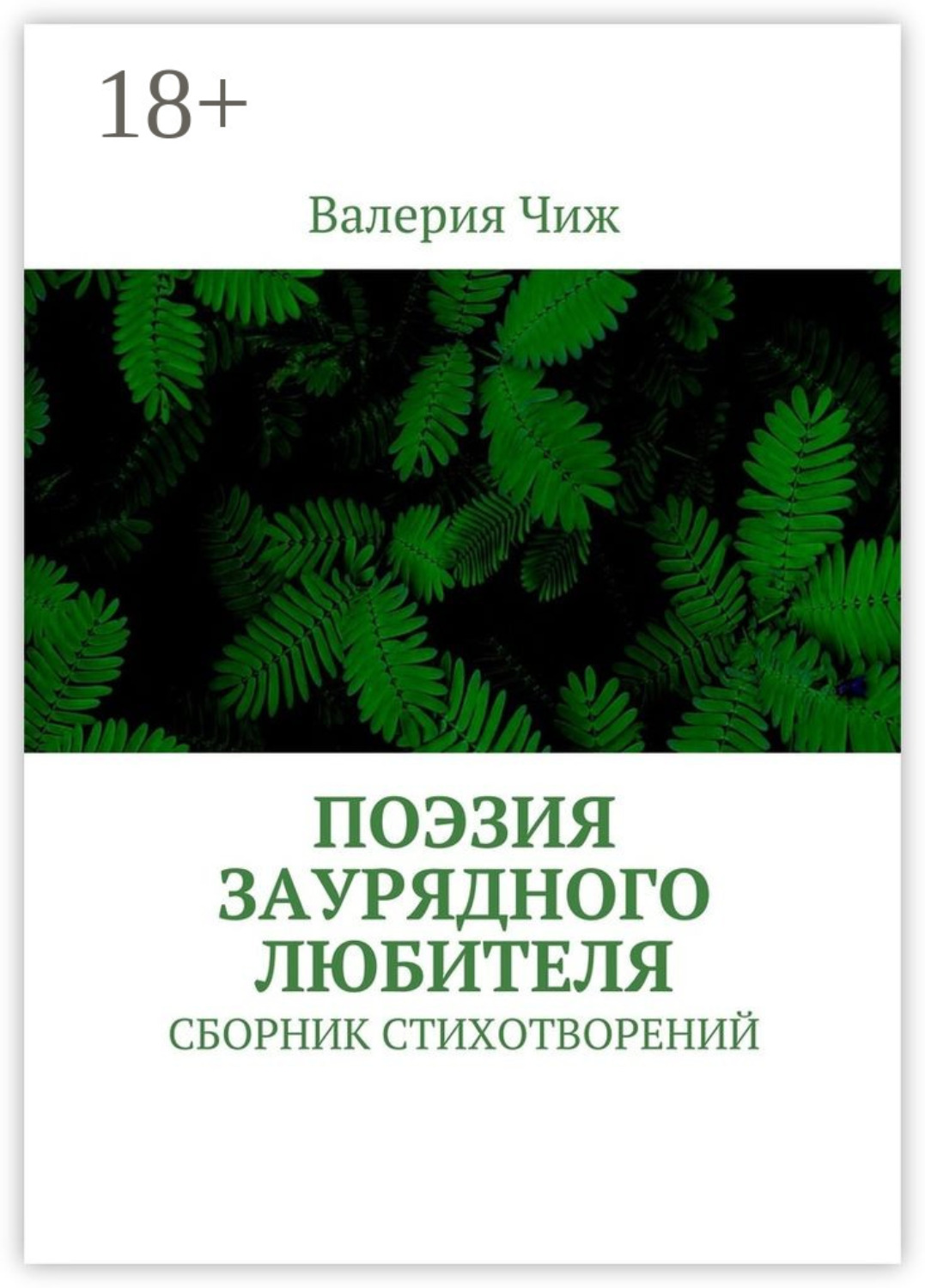 Обложка книги «Поэзия заурядного любителя. Сборник стихотворений»