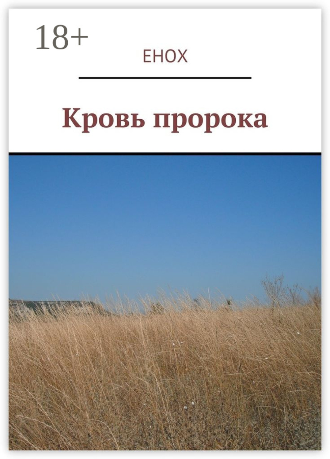 Обложка книги «Кровь пророка»