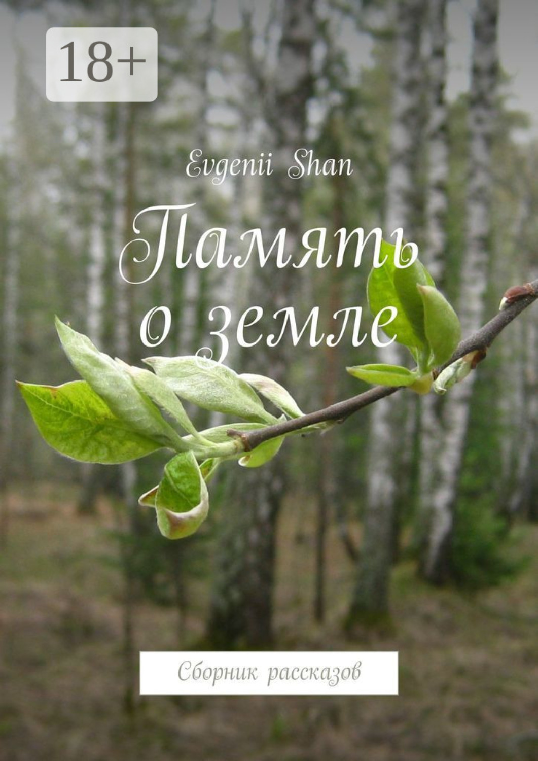 Обложка книги «Память о земле. Сборник рассказов»
