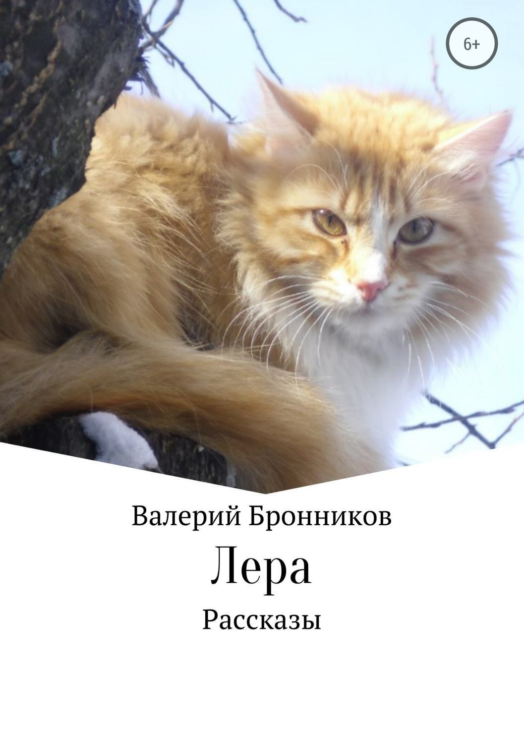 Обложка книги «Лера. Сборник рассказов»