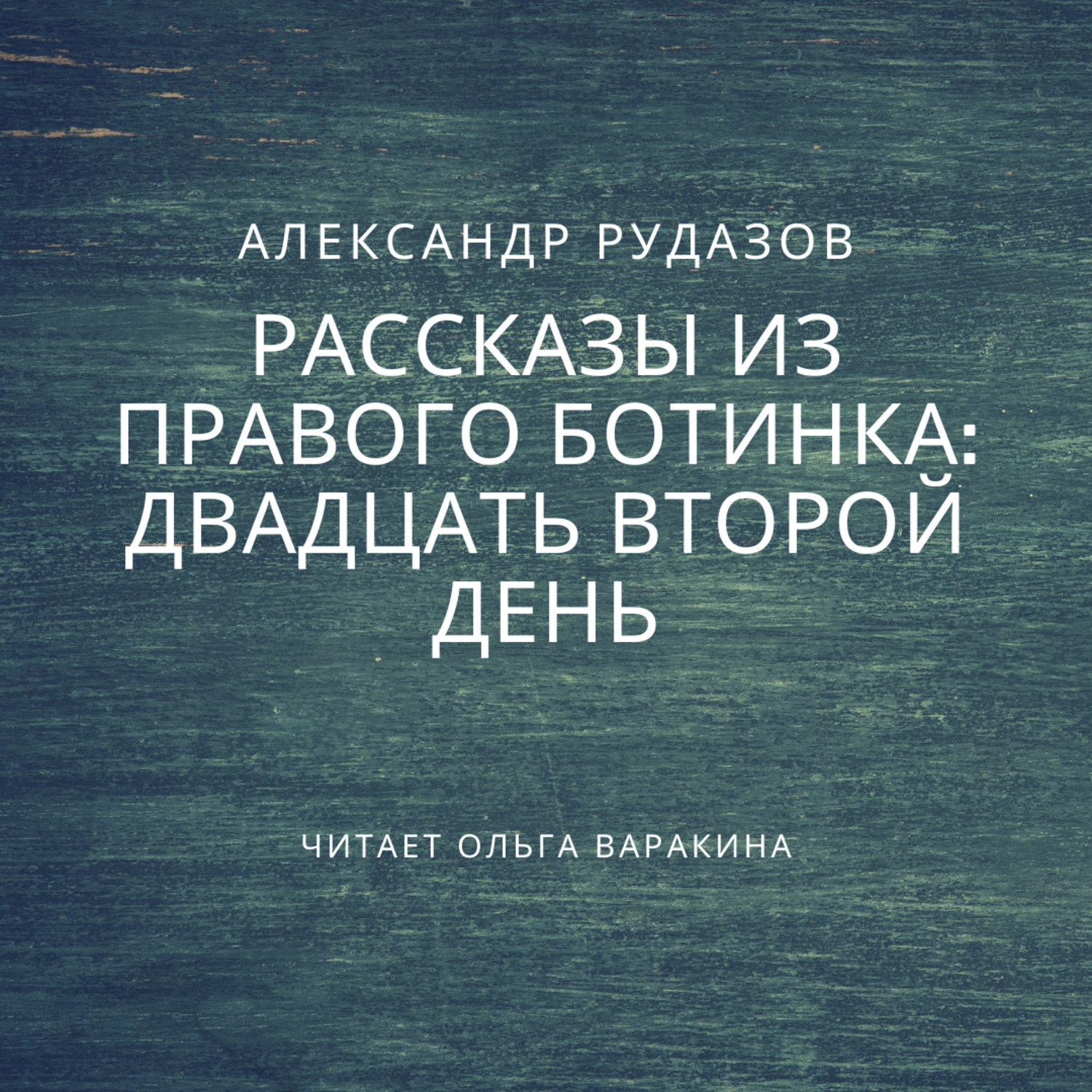 Обложка книги «Двадцать второй день»