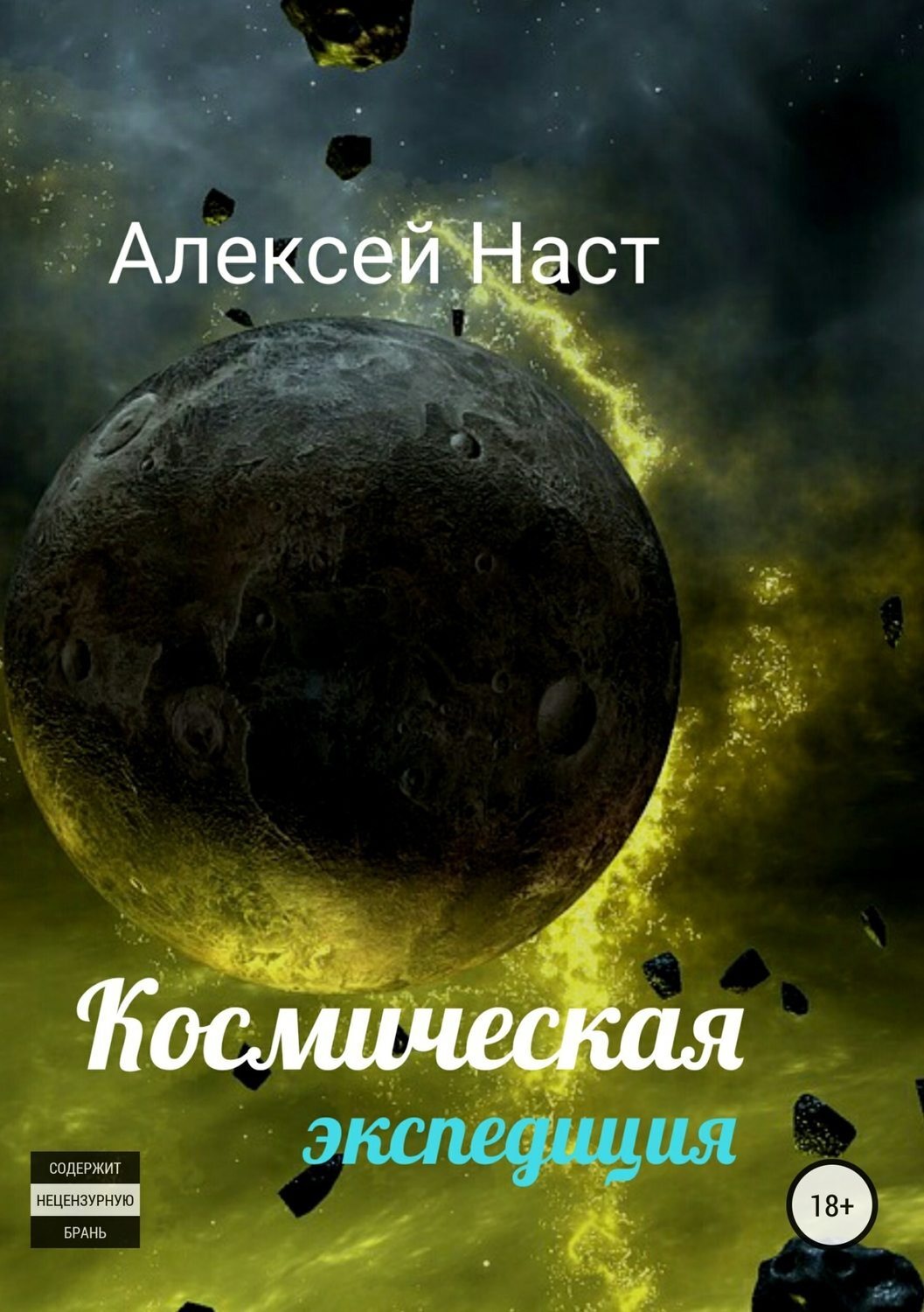 Обложка книги «Космическая экспедиция»