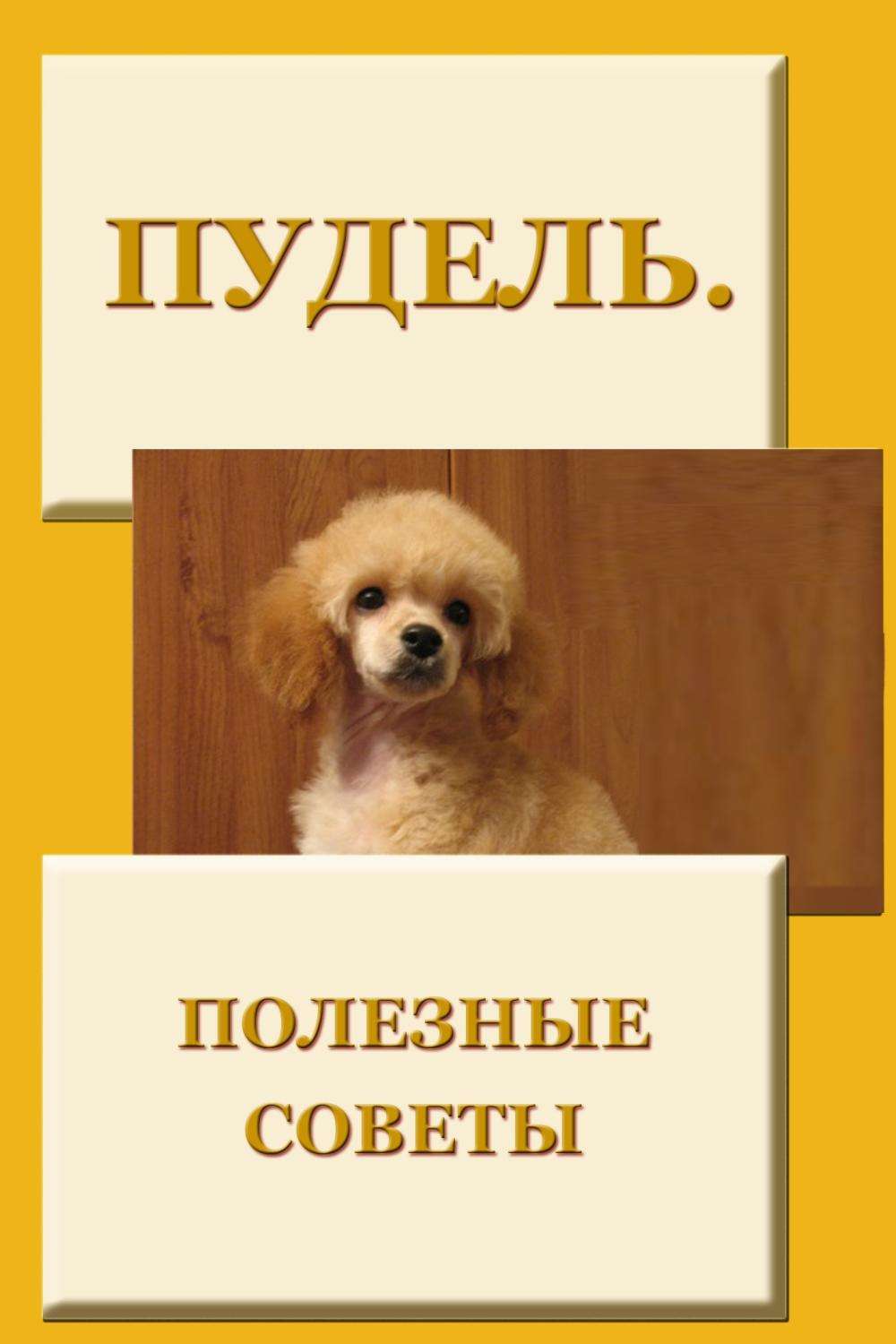 Обложка книги «Пудель. Полезные советы»