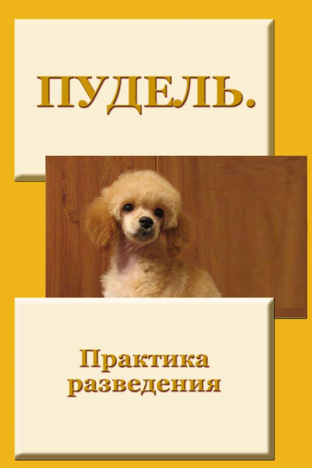 Обложка книги «Пудель. Практика разведения»