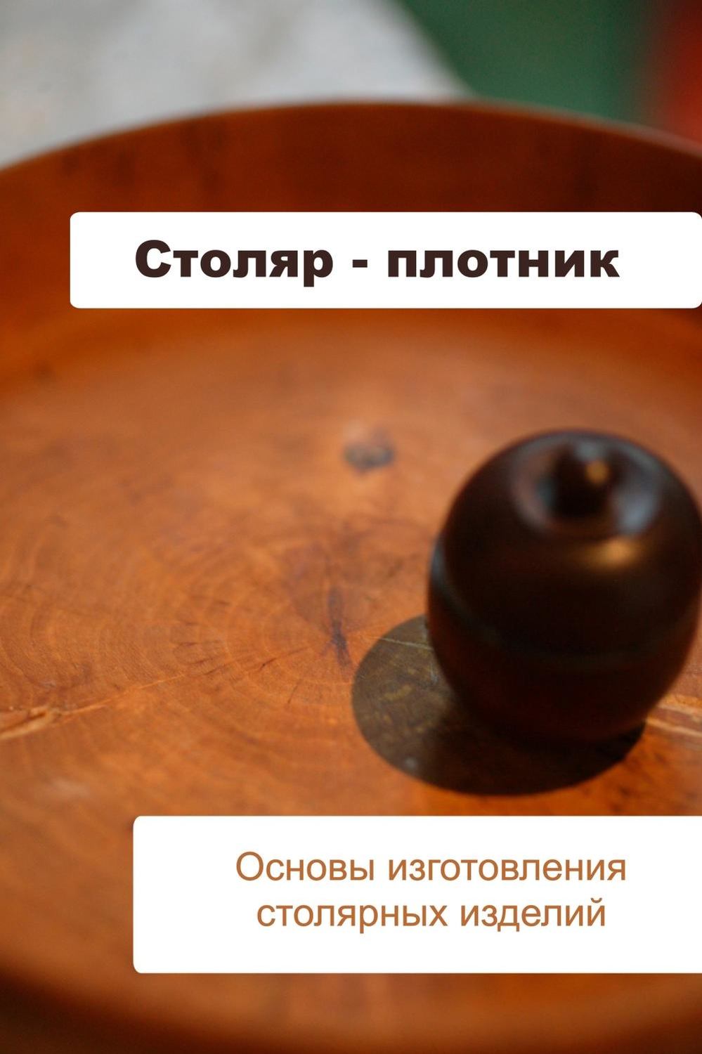 Обложка книги «Основы изготовления столярных изделий»