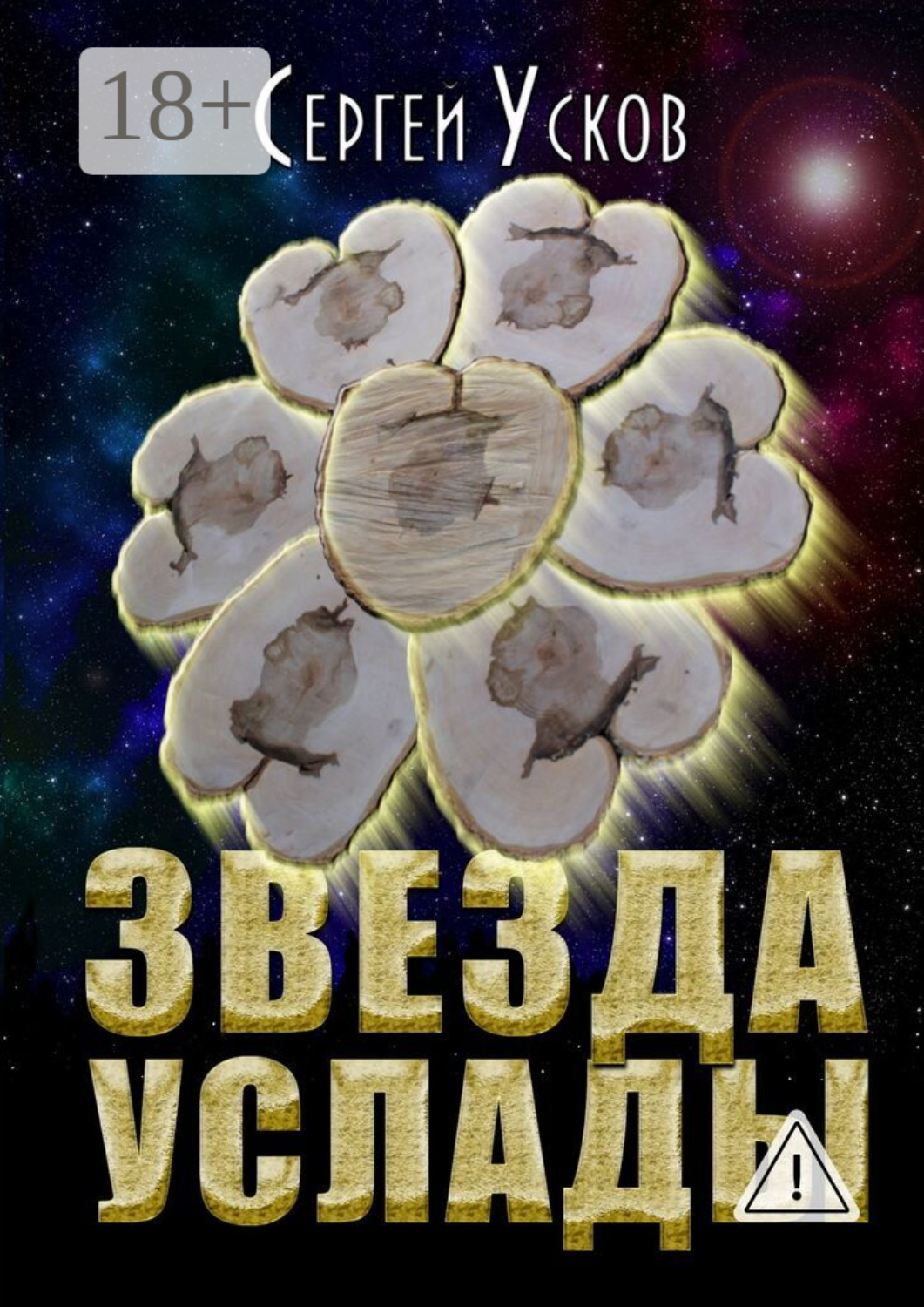 Обложка книги «Звезда услады»
