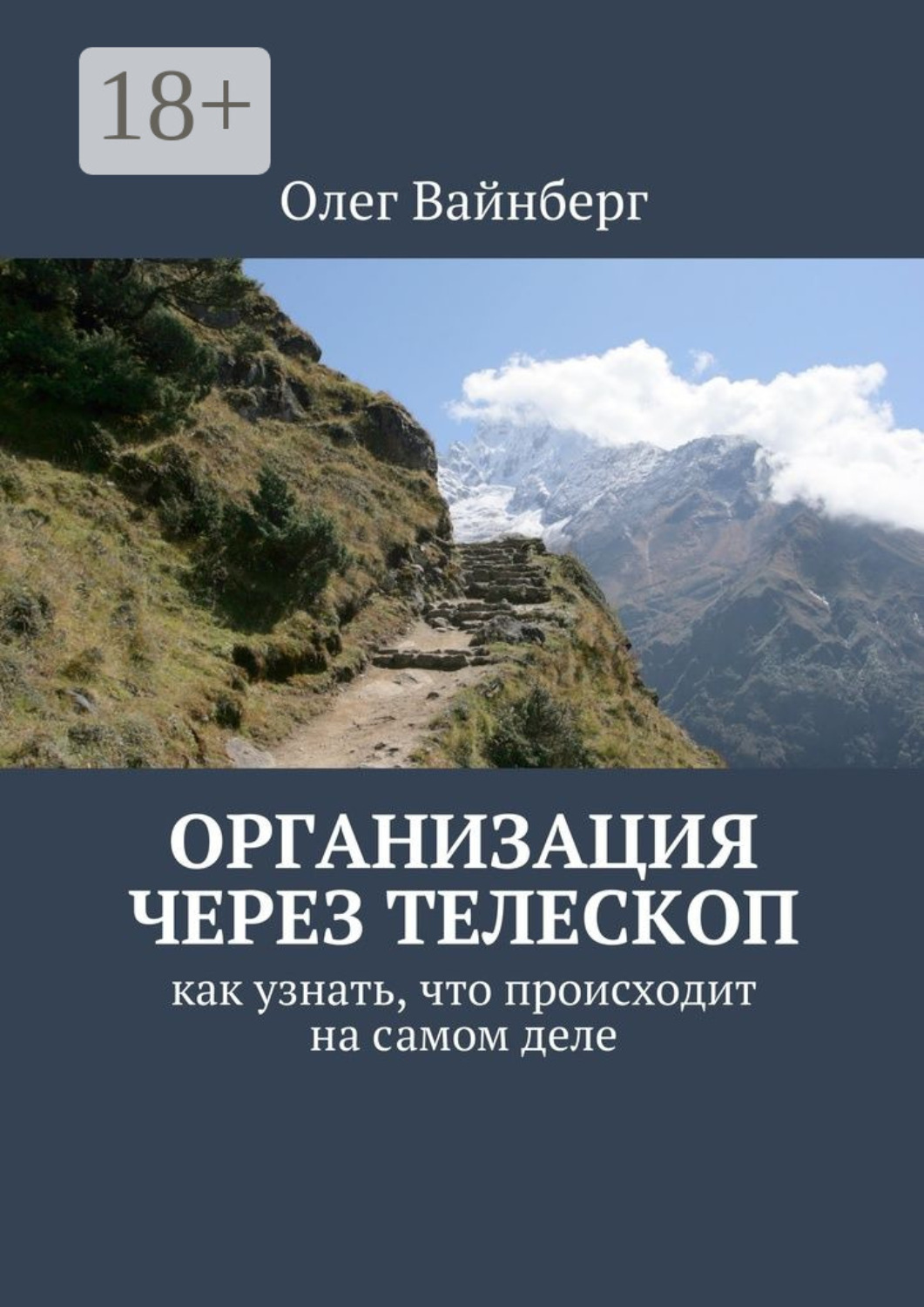 Обложка книги «Организация через телескоп. Как узнать, что происходит на самом деле»