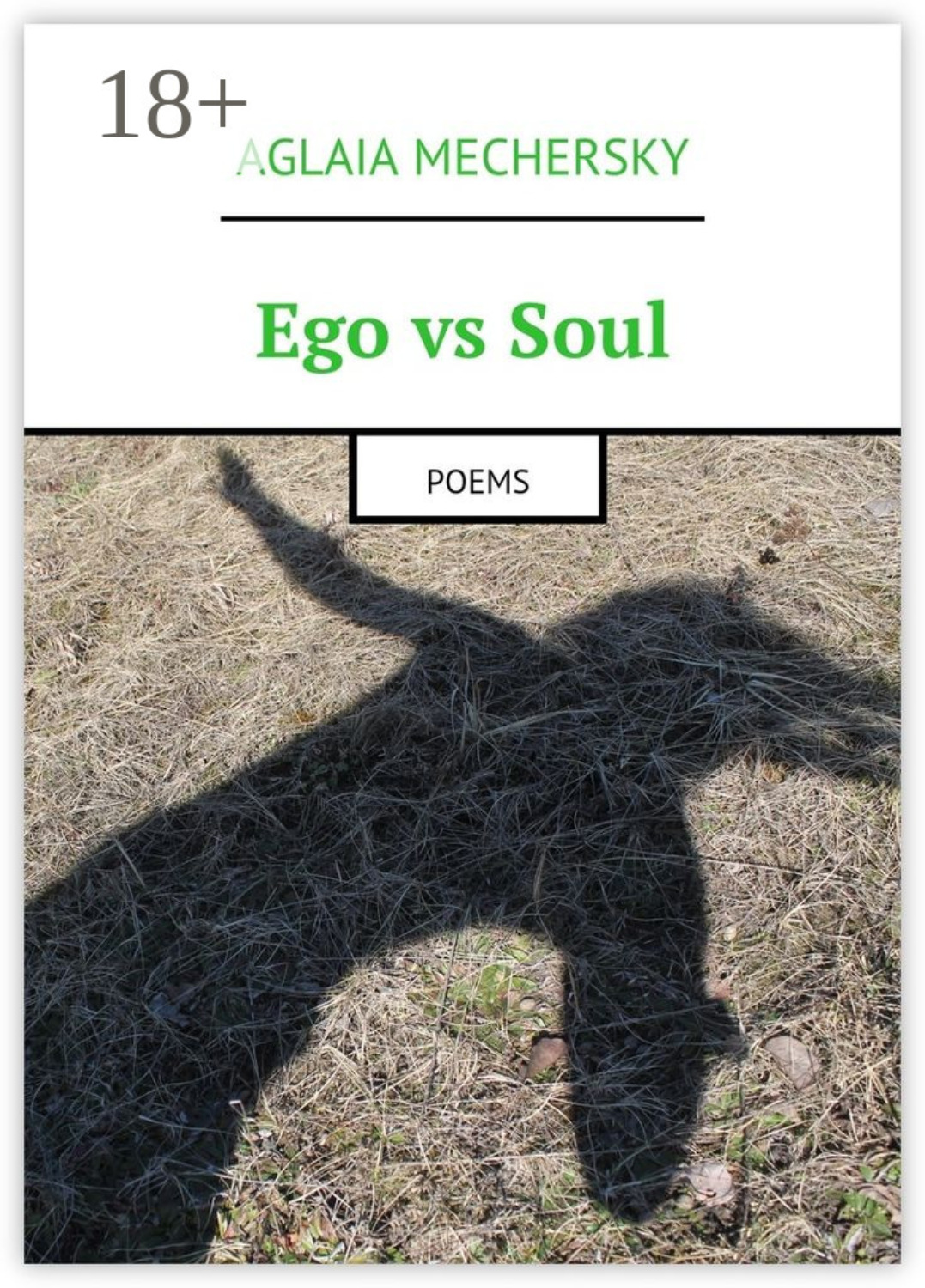 Обложка книги «Ego vs Soul. Poems»